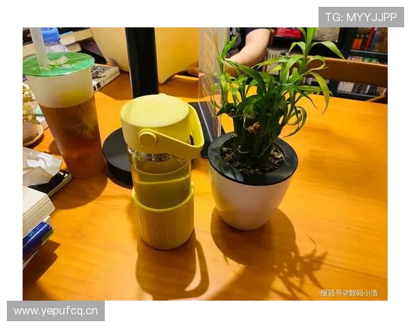 史梦瑶又发家居照，随手摆的杯子都比我一个月工资精致，谁受得了